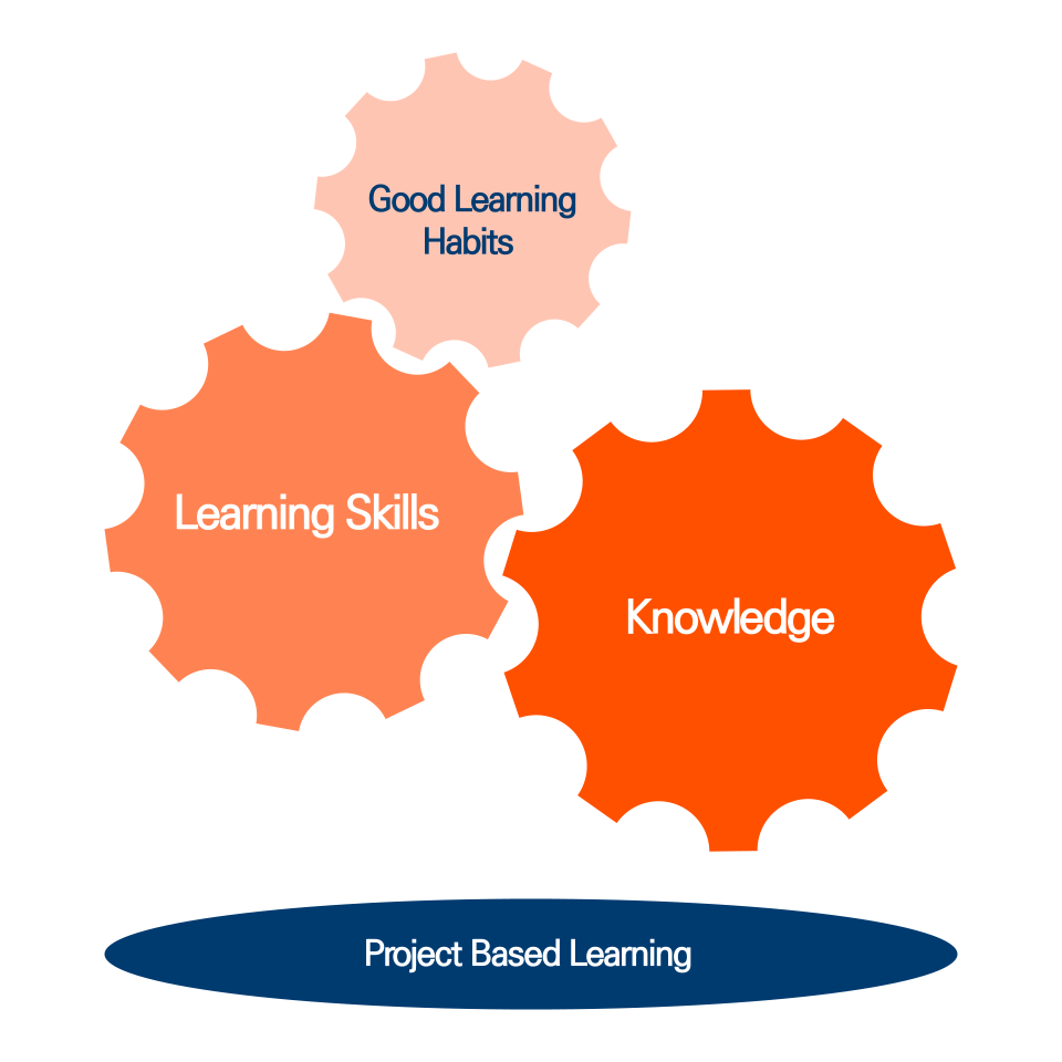 Meta Pearls Knowledge & Learning Skills & Good Learning Habits